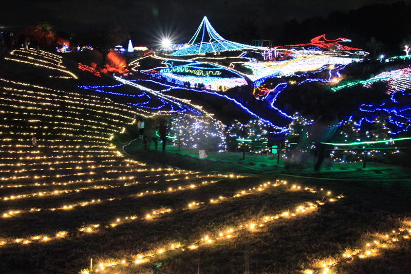 国営讃岐まんのう公園 ウィンターファンタジー開催！