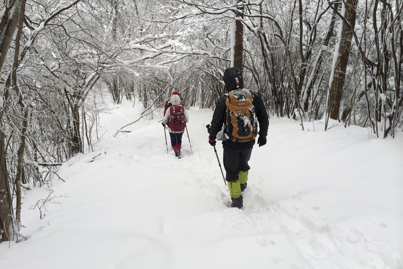 讃岐山脈で冬山トレッキングに挑戦してみませんか