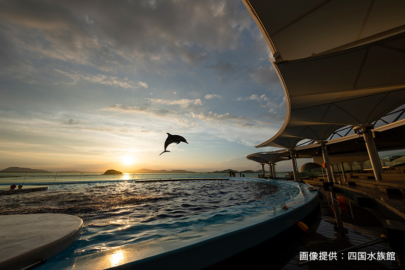 開業5周年「四国水族館」に出掛けよう！