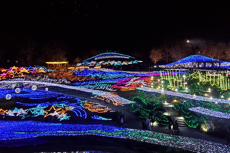 【冬の風物詩】国営讃岐まんのう公園 ウィンターファンタジー