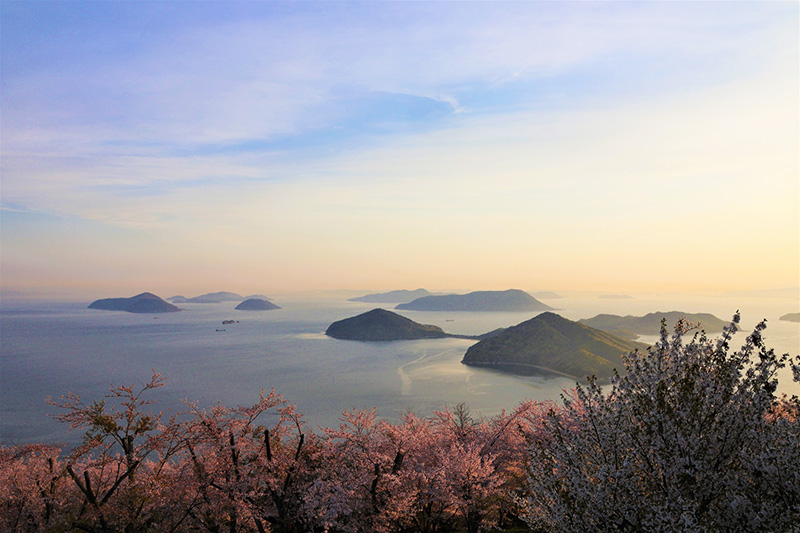 春を満喫できる香川のお花見スポット