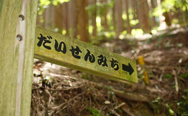 標高1042.9mの大川山には、山頂付近まで車道がつづら折りに通っている。その車道を串刺しに「だいせんみち」と呼ばれる登山道があり、進んで行く。