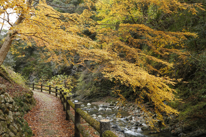 トピックス 湯山荘 阿讃琴南 公式
